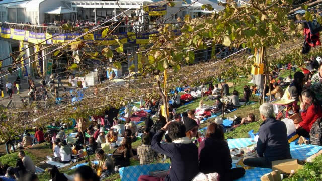 栃木足利ココファームワイナリー収穫祭の画像