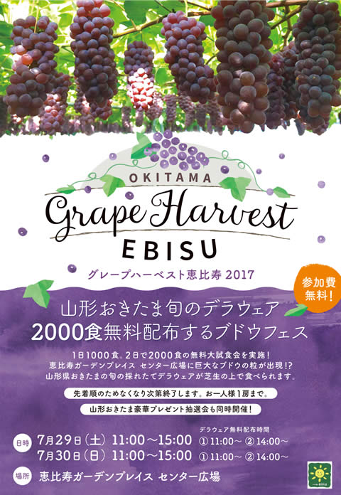 grape-harvest-ebisu01.jpg