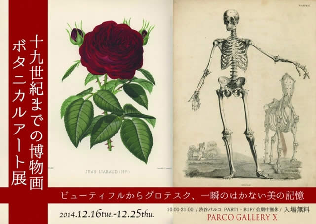 19世紀までの博物画・ボタニカルアート展@渋谷パルコの画像