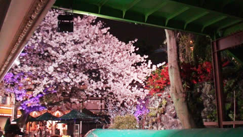 浅草花やしき 夜桜ビアガーデン画像